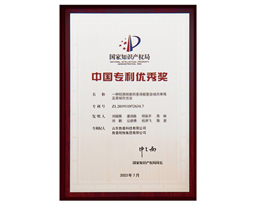 中國專利優(yōu)秀獎(jiǎng)